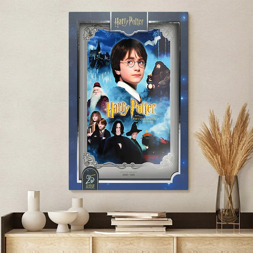Harry Potter 25th Anniversary Rectangle Canvas With Inner Frame β TANTN24978
