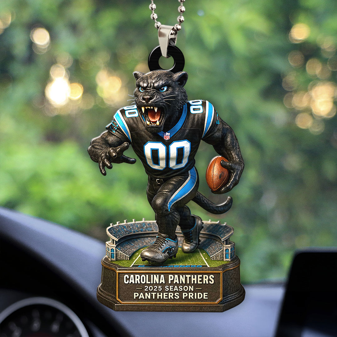 Carolina Panthers 2025 Season Custom shape 2-sided Acrylic Car Ornament – HOATT13663