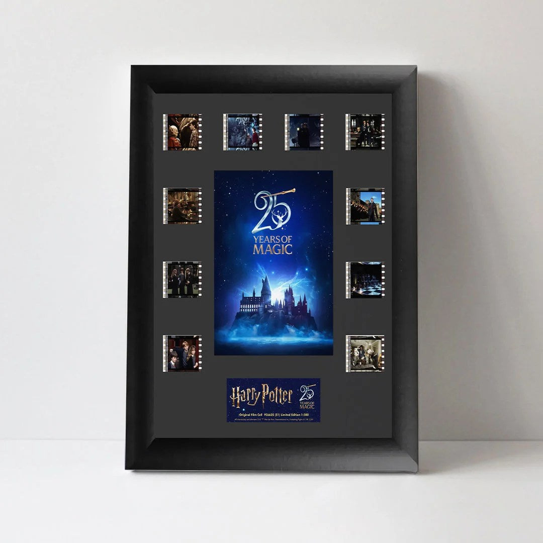Harry Potter 25th Anniversary Rectangle Canvas With Inner Frame – TANTN24981