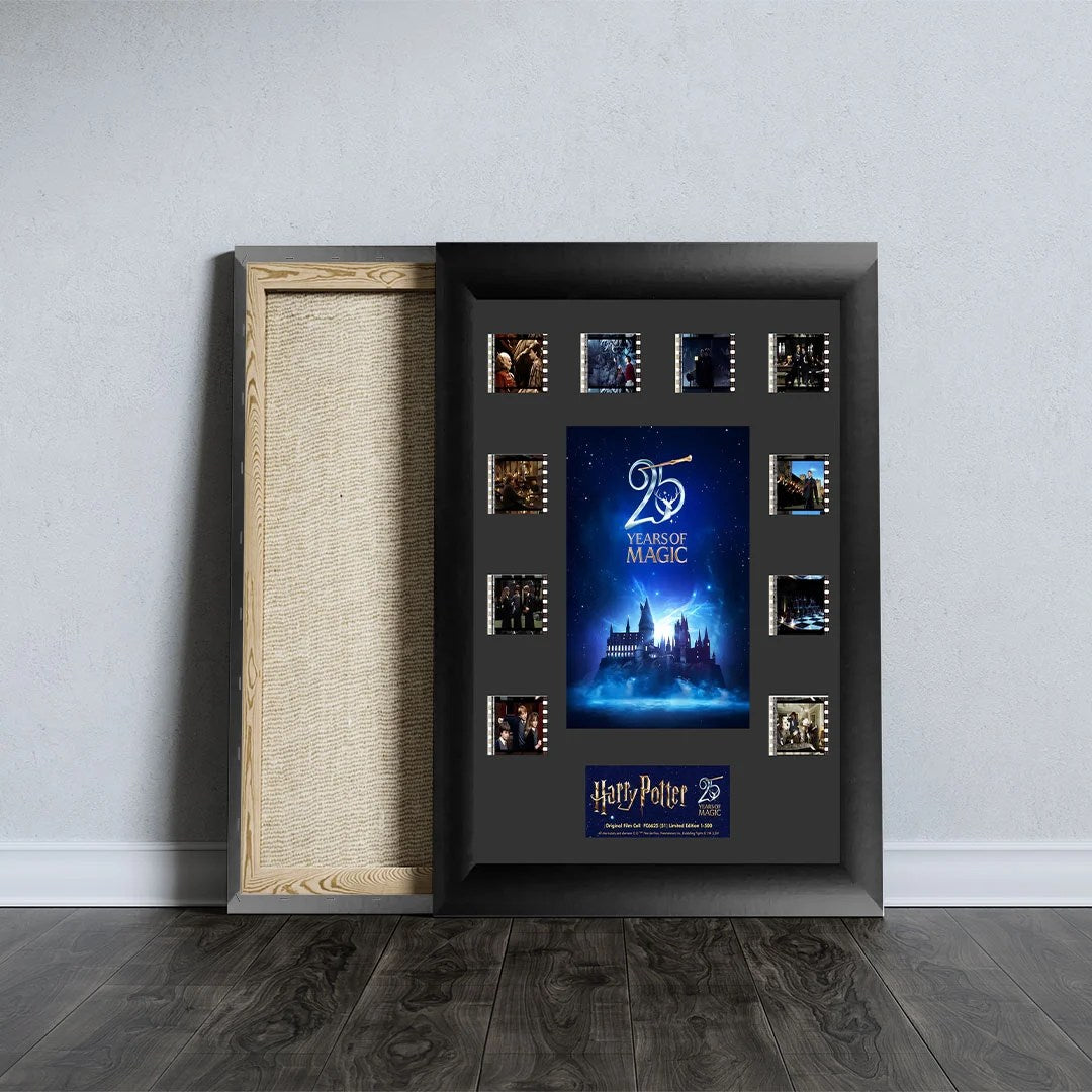 Harry Potter 25th Anniversary Rectangle Canvas With Inner Frame – TANTN24981
