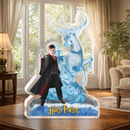 Harry Potter Custom Shape Acrylic Plaque – HOATT16223