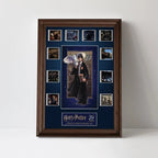 Harry Potter 25th Anniversary Rectangle Canvas With Inner Frame – TMTHU8633