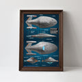 Star Trek Rectangle Canvas With Inner Frame – TMTHU5326
