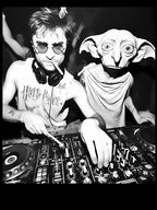 D O B B Y And Dj Harry P O T T E R Meme Shirt