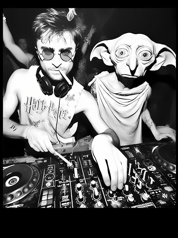 D O B B Y And Dj Harry P O T T E R Meme Shirt