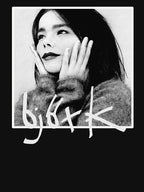 Bjork Shirt
