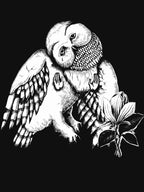 Songs Ohia Magnolia Electric Co Print Shirt