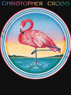 Pink Flamingo Standing On One Leg In Water Shirt