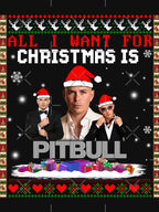 All I Want For Christmas Is Pitbull Shirt