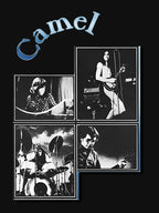 Camel Band Shirt