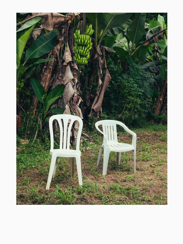 Banana Trees Shirt