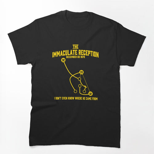 The Immaculate Reception P I T T S B U R G H Team Shirt